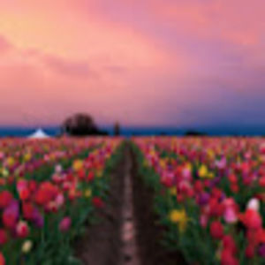 Meet your Posher, Ashleigh